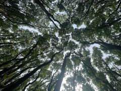 -同里国家湿地公园