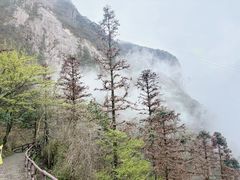 -萍乡武功山风景名胜区
