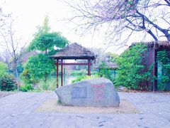 -海珠湖公园