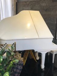 -比华利美容医院