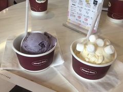 -哈根达斯(天河城店)