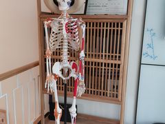 -杏林康桥中医正骨·体态矫正·跌打损伤·推拿按摩(国贸建外SOHO店)