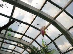-上海大自然野生昆虫馆(东方明珠·爬宠昆虫探索中心)