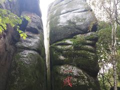 -汤旺河林海奇石景区