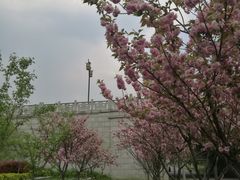 -尚贤河湿地
