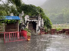 -双新垂钓园