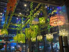 大堂-聚缘·湘味音乐餐厅party(罗湖店)