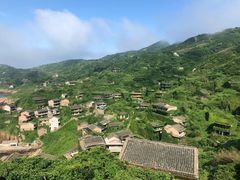 -枸杞岛