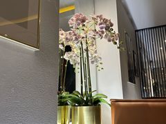 -峨嵋一派