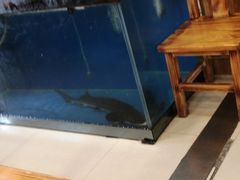 -小媳妇铁锅炖鱼(世博园店)