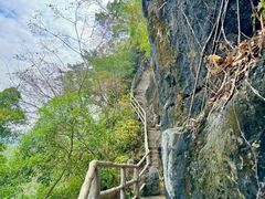 -星湖旅游景区七星岩