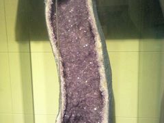 android_upload_pic-中华赏石园