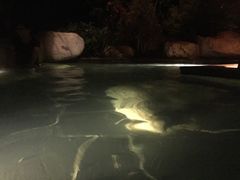 -七彩云南古滇温泉山庄