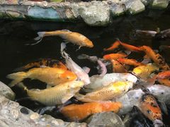 -上海大自然野生昆虫馆(东方明珠·爬宠昆虫探索中心)