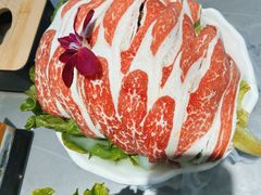-盛辛巴·东北炭火烤肉(托乐嘉店)