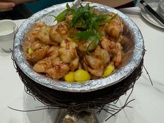 -丁老爷子苏香圆