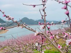-望湖楼餐厅(白廊码头店)