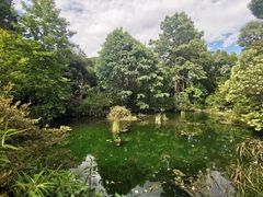 -蝴蝶泉公园