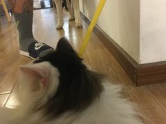 -YCHL Studios健身工作室(市二宫店)
