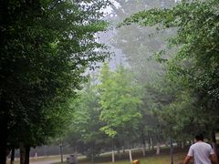 -长白岛森林公园