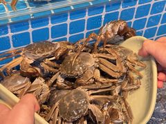-焰江山海鲜牛排烤肉自助(锦华万达二星店)