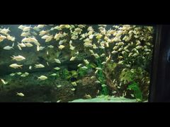 -临沂极地海洋王国