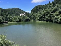 -武陵山森林公园