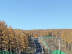 -塞罕坝国家级自然保护区