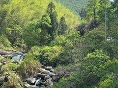 -MOJ coffee(瓯海泽雅水碓坑店)