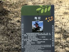 -绿堤公园