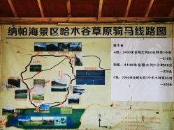 -纳帕海依拉草原