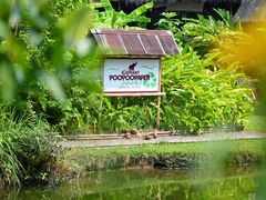 -大象粑粑造纸公园