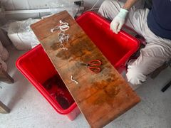 -阳澄湖大闸蟹·琼灵阁牌品牌连锁(吴中总店)