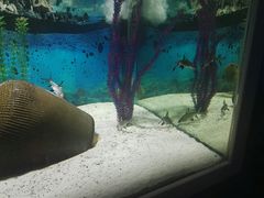 -绍兴梦享海洋公园