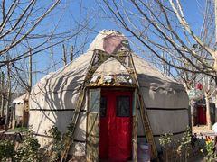 -海拉尔蒙古包(房山长阳店)