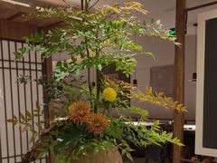 -上井料理黑金店(IFS国金中心店)
