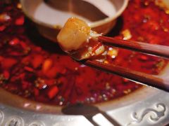 -哥老官重庆美蛙鱼头(日月光店)