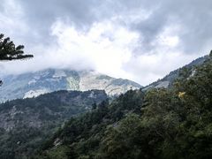 -朱雀国家森林公园