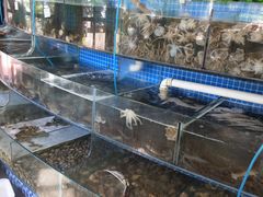水产区-蟹谢蒸鲜自助餐厅