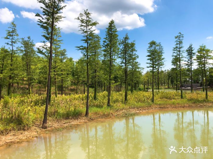 仙山湖景區圖片 - 第48張