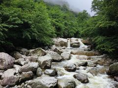 -青峰峡国家森林公园