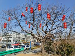 -seeu coffee(江滩店)