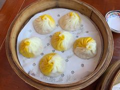 -寄畅興·百年蟹黄面·万国建筑群(外滩27号店)