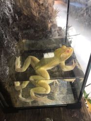 -周忆刺青原创设计定制