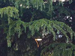 -朗悦公园茂