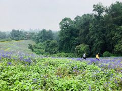 -保利石象湖景区
