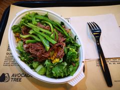 -油梨树 AVOCADO TREE(亮马桥店)