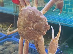 -震海贝烤贝·民俗特色店(延吉总店)