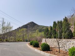 -金龙寺国家森林公园