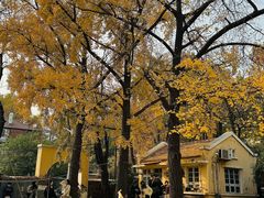 -Rabbit Cafe私房西餐甜点咖啡(栖霞路店)